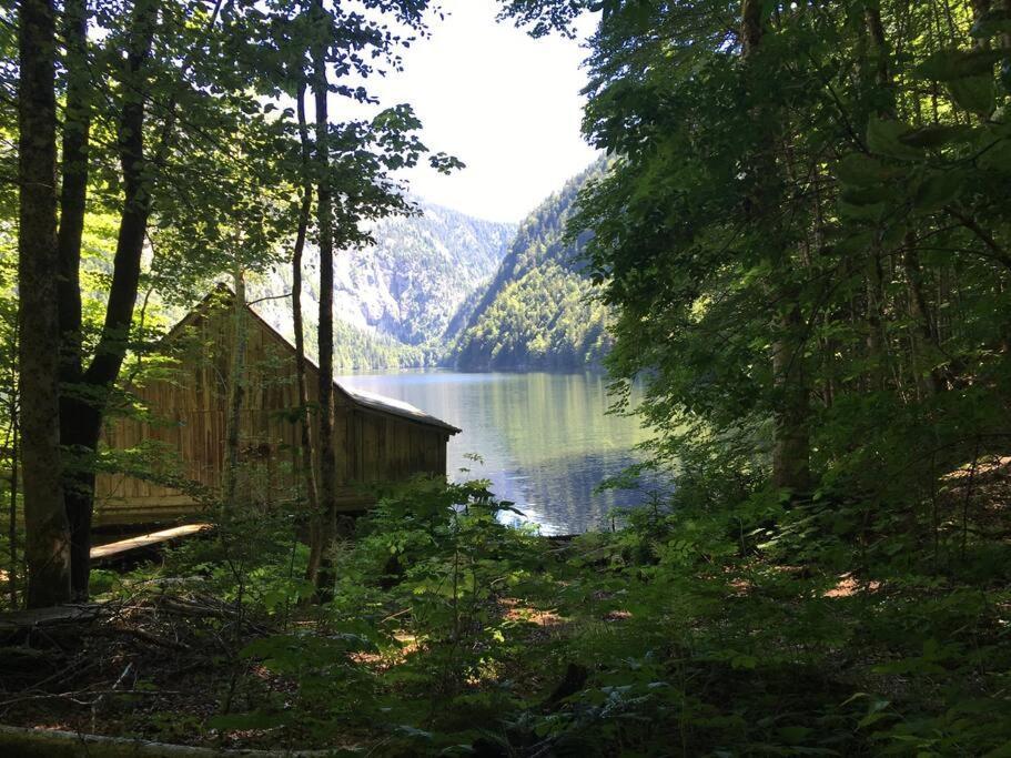 Alpenurlaub II Wohnung Mit Traumausblick Bad Mitterndorf Exteriér fotografie