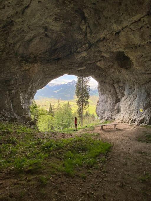 Alpenurlaub II Wohnung Mit Traumausblick Bad Mitterndorf Exteriér fotografie