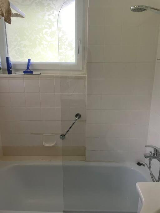 Alpenurlaub II Wohnung Mit Traumausblick Bad Mitterndorf Exteriér fotografie
